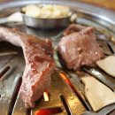 유명갈매기 이미지