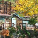 조현리 조현길 이미지