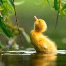 3차동부마트 이미지