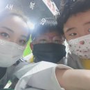 효신태권도장 이미지