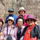 구룡사 Daum카페