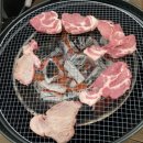 파인센트 풀빌라 펜션 이미지