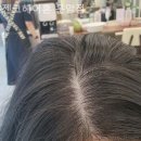 젠코헤어혼 운암점 | [광주/미용실] 젠코헤어혼 운암점 커트 하나로 인상이 달라지는 경험