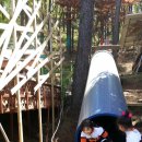 노아어린이집 이미지