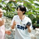 6시내고향 이미지