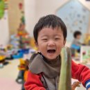 예일키즈어린이집 이미지