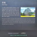 서울 청와대 전경(서울 종로구) 이미지