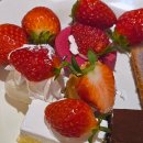 림푸드 | 여수 웅천맛집 쿠우쿠우 솔직후기｜초밥·핫푸드·디저트까지 총정리