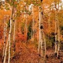 Re플레이 이미지