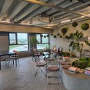 카페 더샤이어 이미지