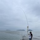 왜목오토캠핑장 | 서해 당진 왜목마을 오토캠핑장 이용 후기(ft.예약 및 이용금액)