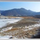 조양강 민박 이미지