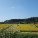 푸른솔 농장 이미지