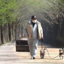 동구리호수공원잔디광장 이미지