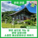 광양읍 삼광사 소장 불서 | 맑은 삶으로 가는 길, 광양 삼광사와 소중한 불교문화유산 이야기