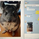 종로-신교-종로-신-125 | [月刊] 202509