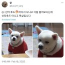 크라상점울산 | 울산 삼산동 디저트 맛집 크라상점 후기