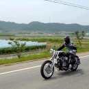 드비취이 이미지