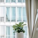 [국비지원] 조경기능사 필기 이미지