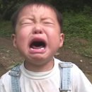 7초 천국 체험♡｡. 하츠투하츠 하이바이회 후기