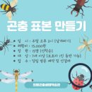 다람쥐방앗간 | 경남 아이와 가볼만한 곳 : 한번만 가기엔 아쉬운 가성비 최고 '의령곤충생태학습관' 찐 단골 후기