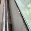 임동면보건지소 이미지