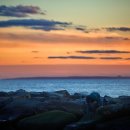 바다정원 이미지