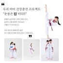 수 태권도장 이미지
