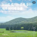 돌담할망보말톳칼국수 이미지