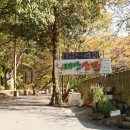 산속닭곰탕 이미지