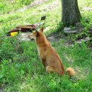 설악농장 이미지