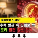 "꿀물도 우유도 아닙니다" 잠들기 전 마시면 피떡 싹 녹여 발끝까지 피 돌게 하는 음료 이미지