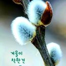 남부권 골프연습장 이미지