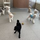 황자반놀이터 이미지