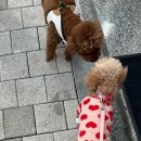 퍼스트커피랩 부산일광점