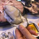 안산 고잔동 야장 횟집 추천 방어 맛집 내돈내산 (머구리)
