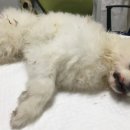 카페 태도 이미지