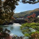 혜민의원 | 2025.11.1-2 | 단풍 덜 진 화담숲과 예지의 청첩모임(♥)