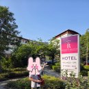 동양콘도미니엄 | 시오포크 숙소 레지던스 발라톤 수페리어 컨퍼런스 웰니스 호텔 내돈내산 후기