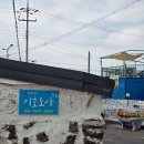 제주 조아통나무펜션 | [제주시 이호일동] 제주 공항 근처 가성비 좋은 오션뷰 독채 펜션 이호조아펜션