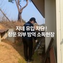 【 여수 방역업체 안내 】주택 지네 출몰 방역 퇴치 사례 – 미래클린