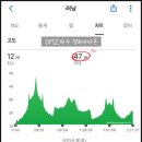 제우에너지 | 2024 DMZ 파주 평화마라톤_첫 하프마라톤 목표는 완주!