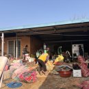 대장경테마파크 이미지