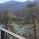 더포레펜션 이미지