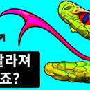 호갱구조대