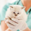 신공항동물병원 이미지