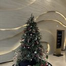 [제주] 제주 호텔 더원/ 스탠다드 더블룸 내돈내산 후기 / 제주 공항 근처 가성비 호텔 추천