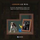 미디어샵