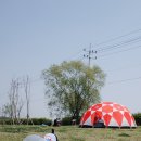 위니펫동물병원 이미지