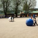 임하초등학교 이미지